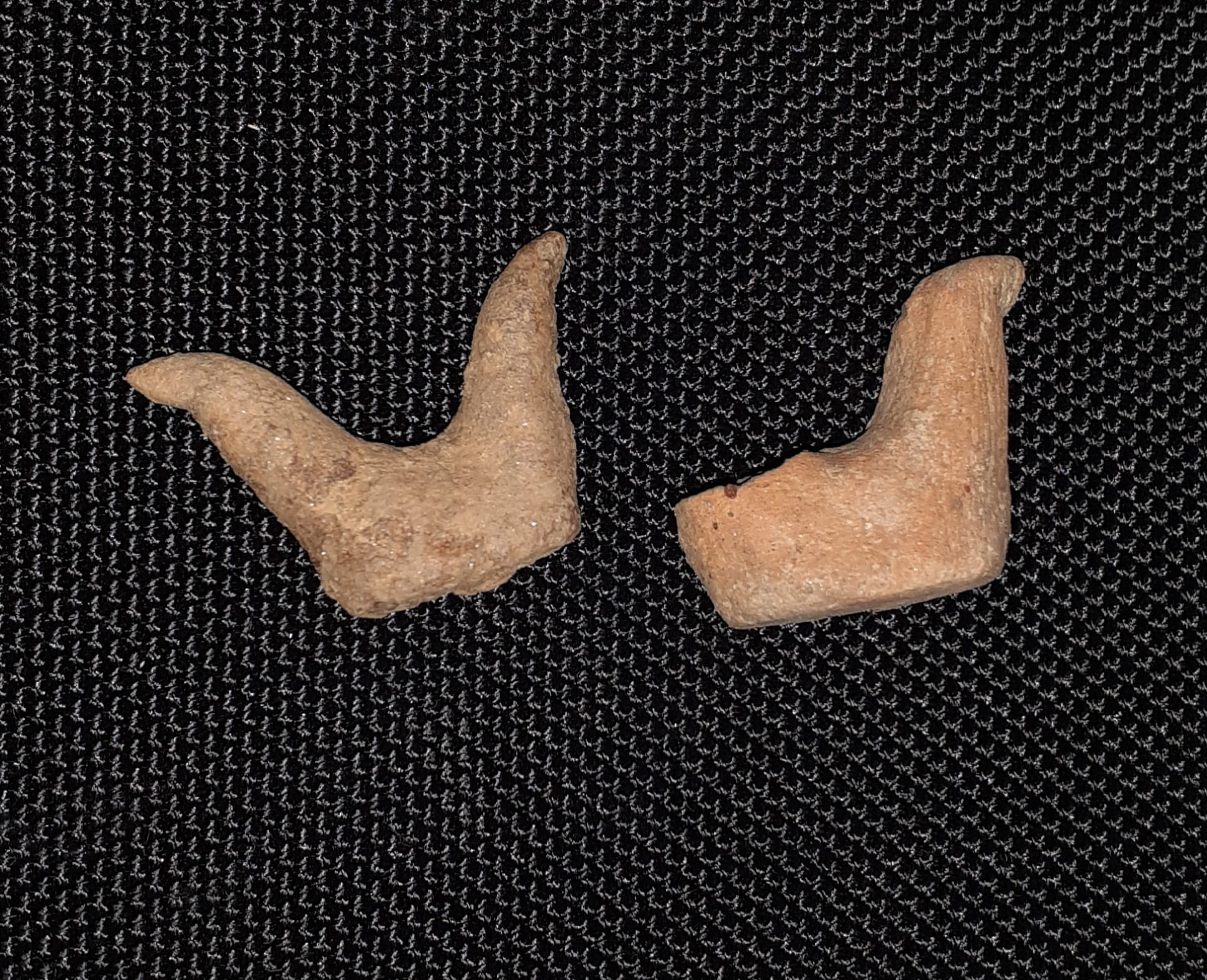 Galerie foto - Poza #2