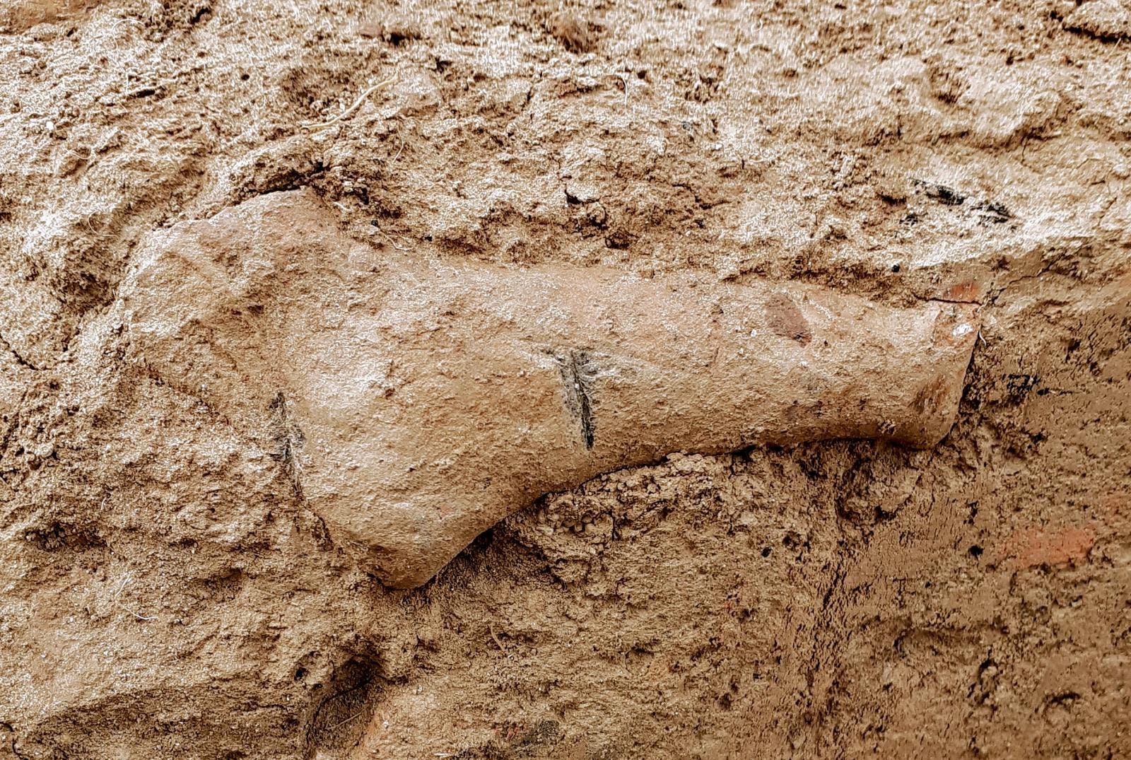 Galerie foto - Poza #1