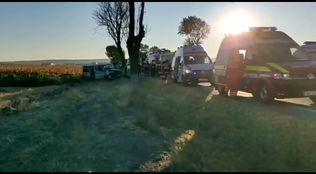 Cinci persoane au ajuns la spital în această dimineață, după ce microbuzul în care se aflau a intrat într-un copac de pe DN6