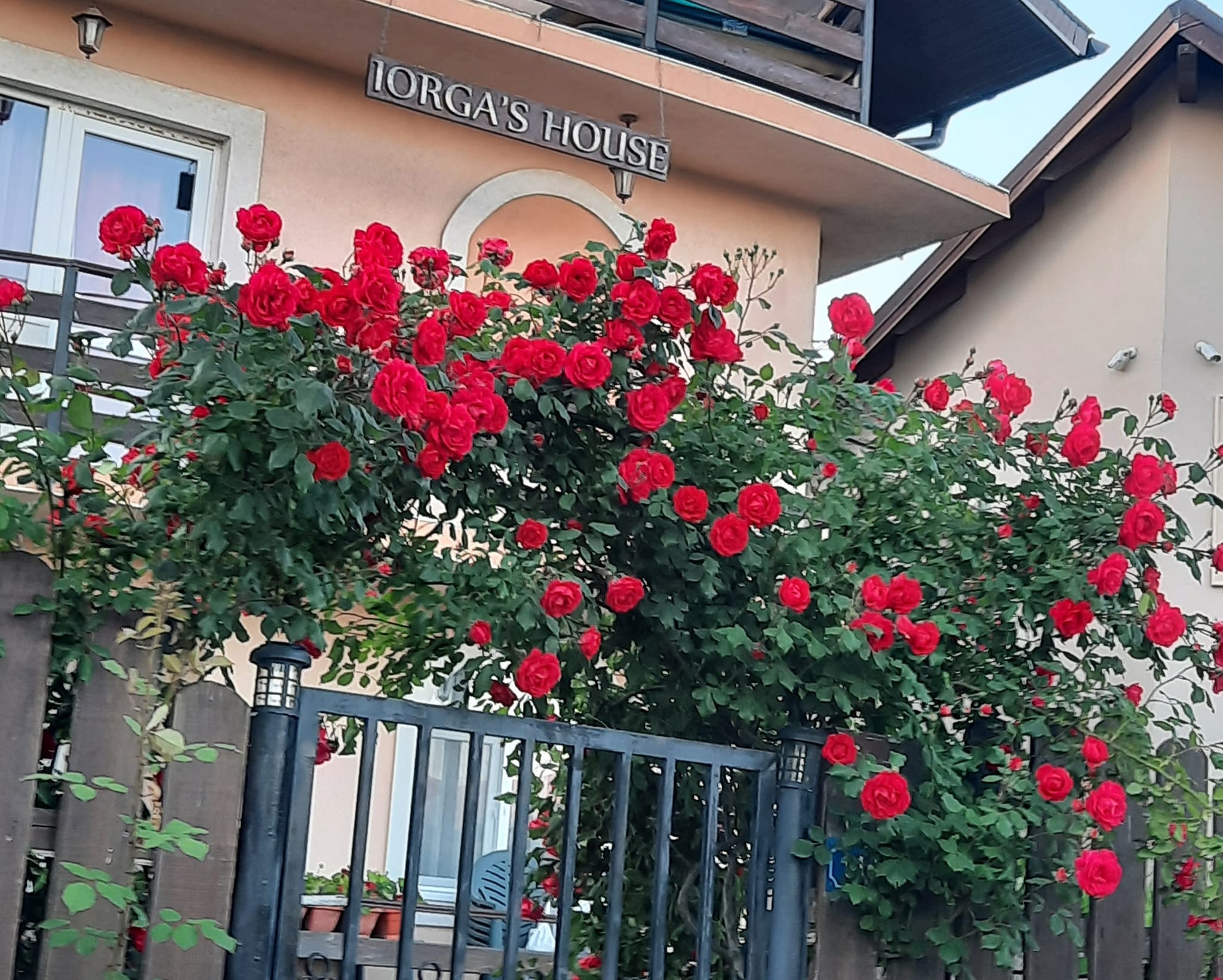 Galerie foto - Poza #3