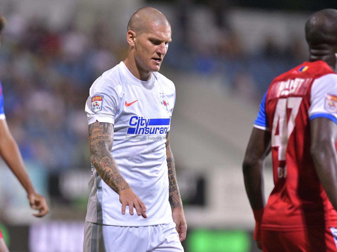 Galerie foto - Poza #2