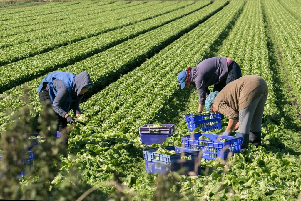 Domeniul in care Romania a devenit o putere la nivel mondial. E singura tara din lume care a obtinut acest rezultat