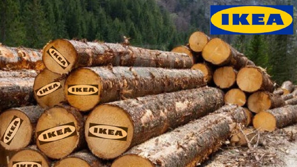 Acuze dure pentru Ikea. Ce ar face compania suedeză în detrimentul României. ”Nu țin cont de nimic”