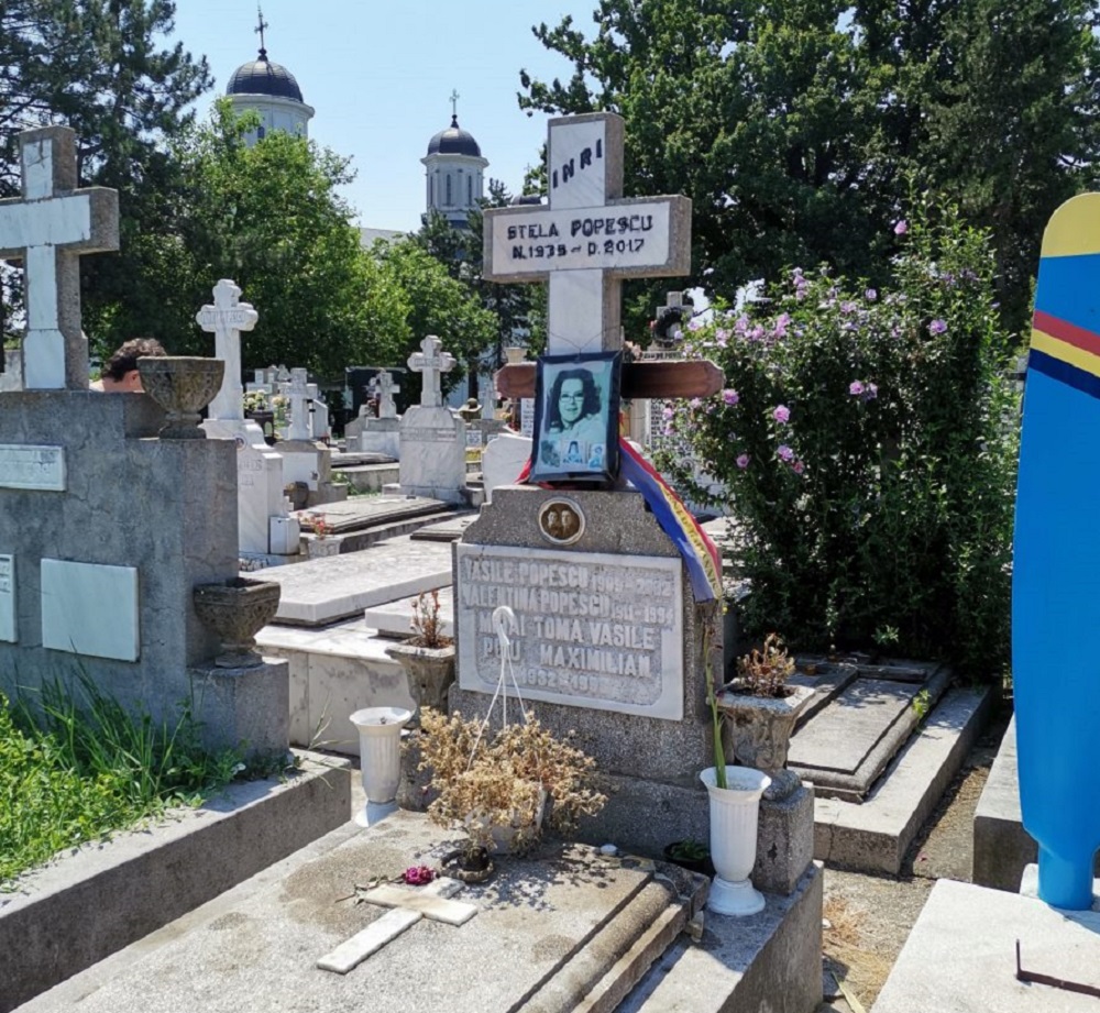 Galerie foto - Poza #3