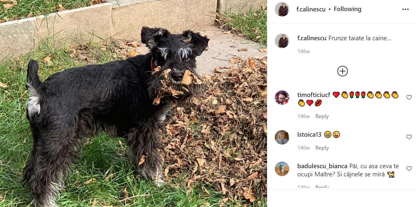 Ce face Florin Calinescu de cand lucreaza la Prima TV