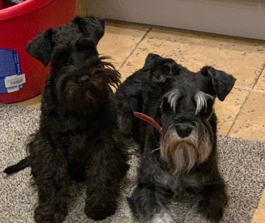 Galerie foto - Poza #2