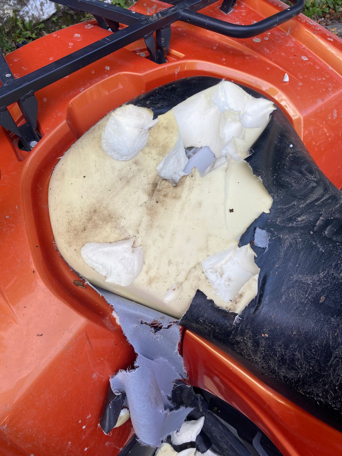 Galerie foto - Poza #2