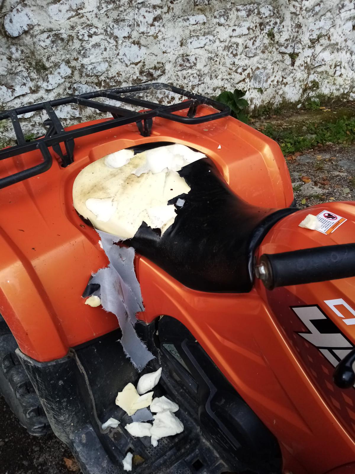 Galerie foto - Poza #1