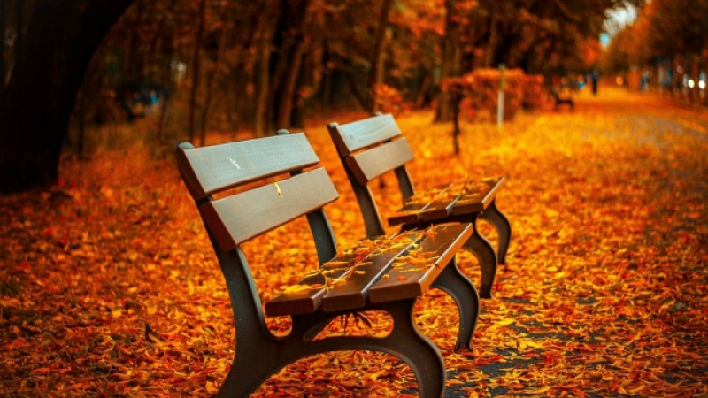 Cum va fi vremea in luna septembrie