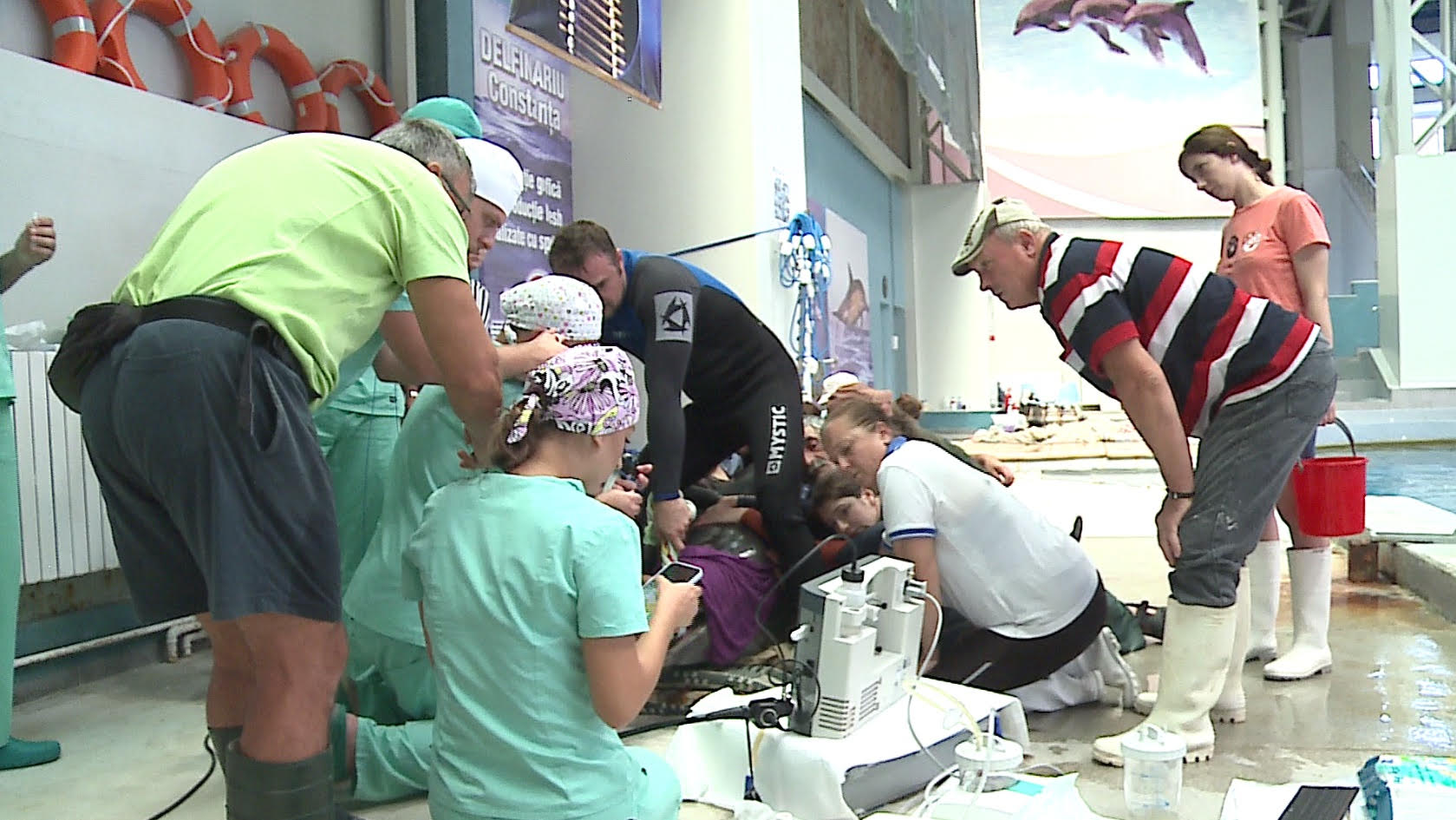 Galerie foto - Poza #2