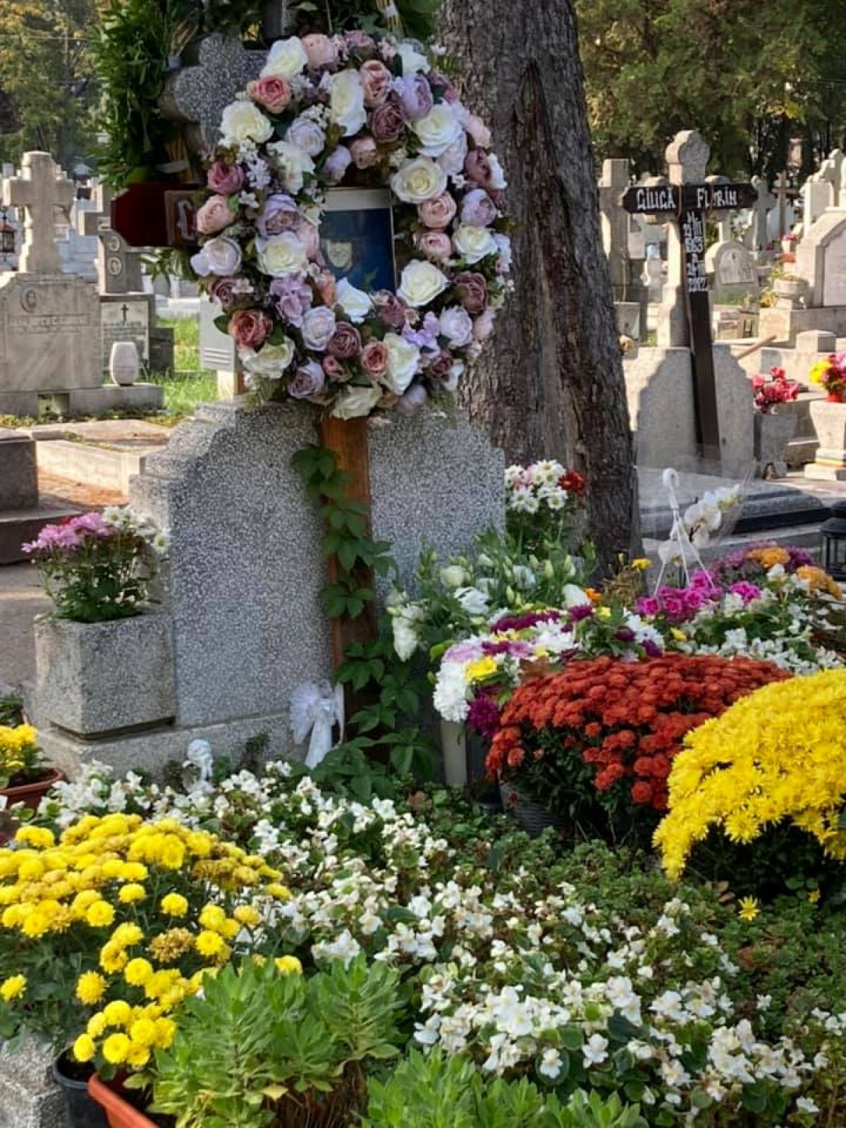 Galerie foto - Poza #1