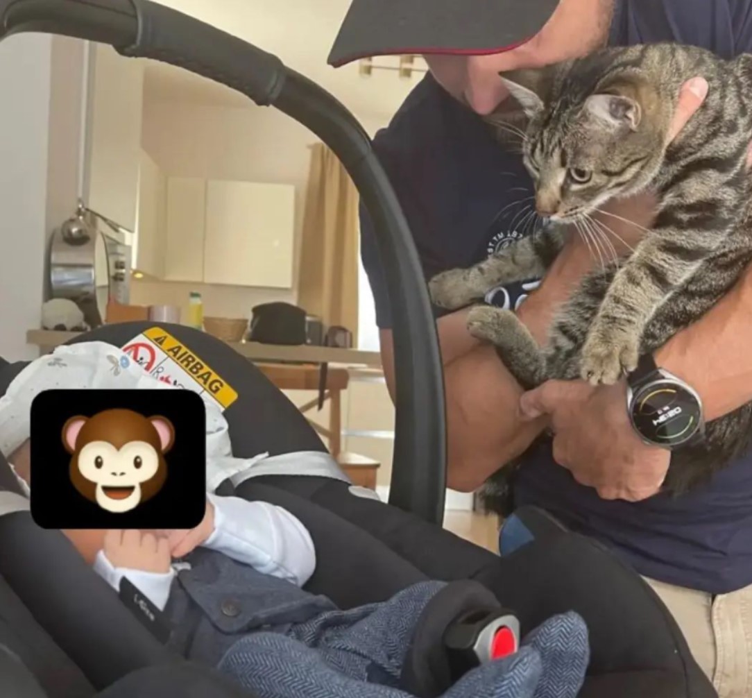 Galerie foto - Poza #3