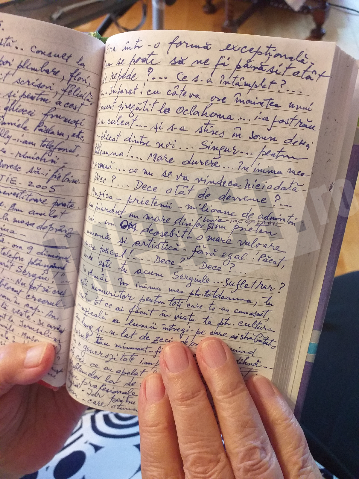 Viața unei muziciene care i-a cunoscut pe George Enescu și Sergiu Comissiona