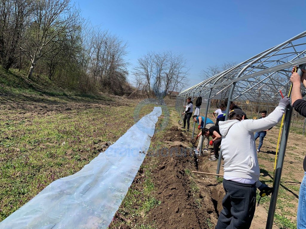 Vinuri premium, sub brandul Universității din Craiova. Stațiunea didactică “Banu Mărăcine” intră pe harta vini-viticolă a României