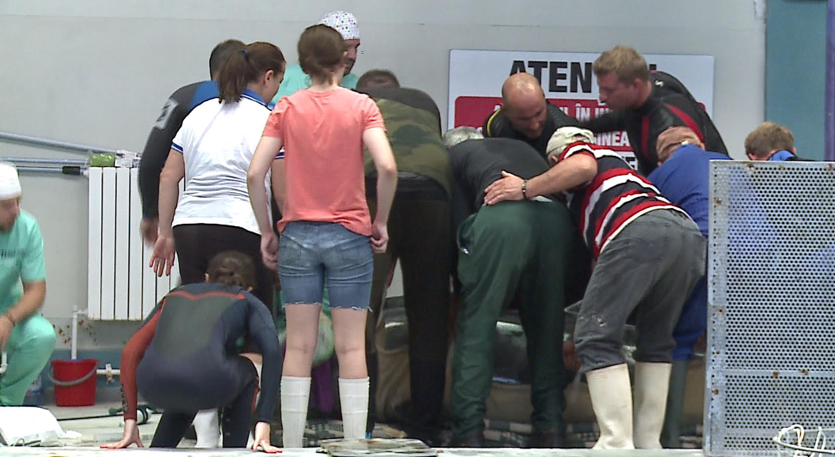 Galerie foto - Poza #1