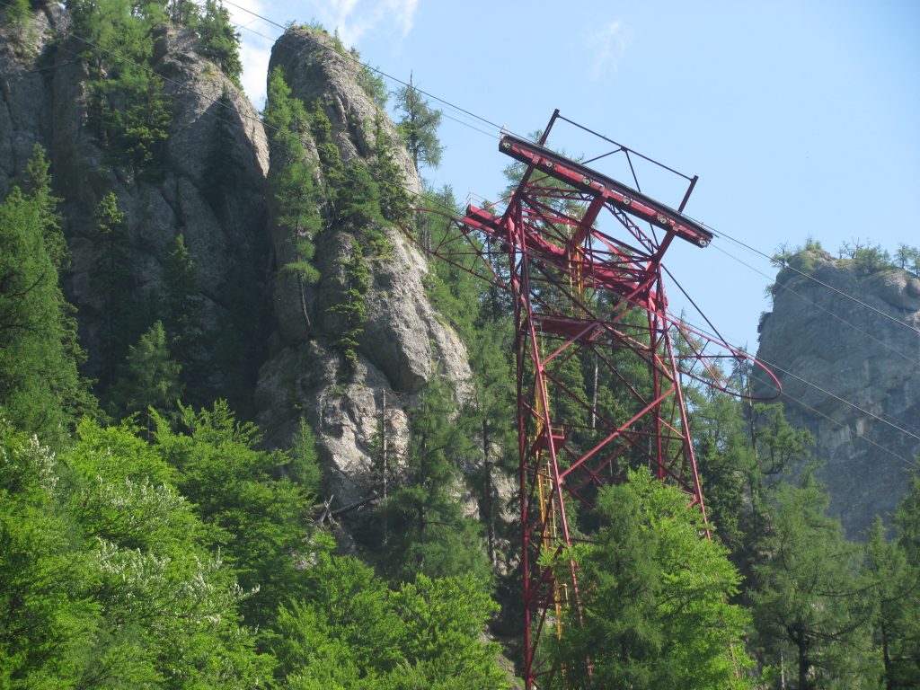 Incident teribil în Bușteni. Un urs a dislocat o stâncă care a căzut pe cablul de la telecabină, astfel că zece muncitori au rămas blocaţi înauntru