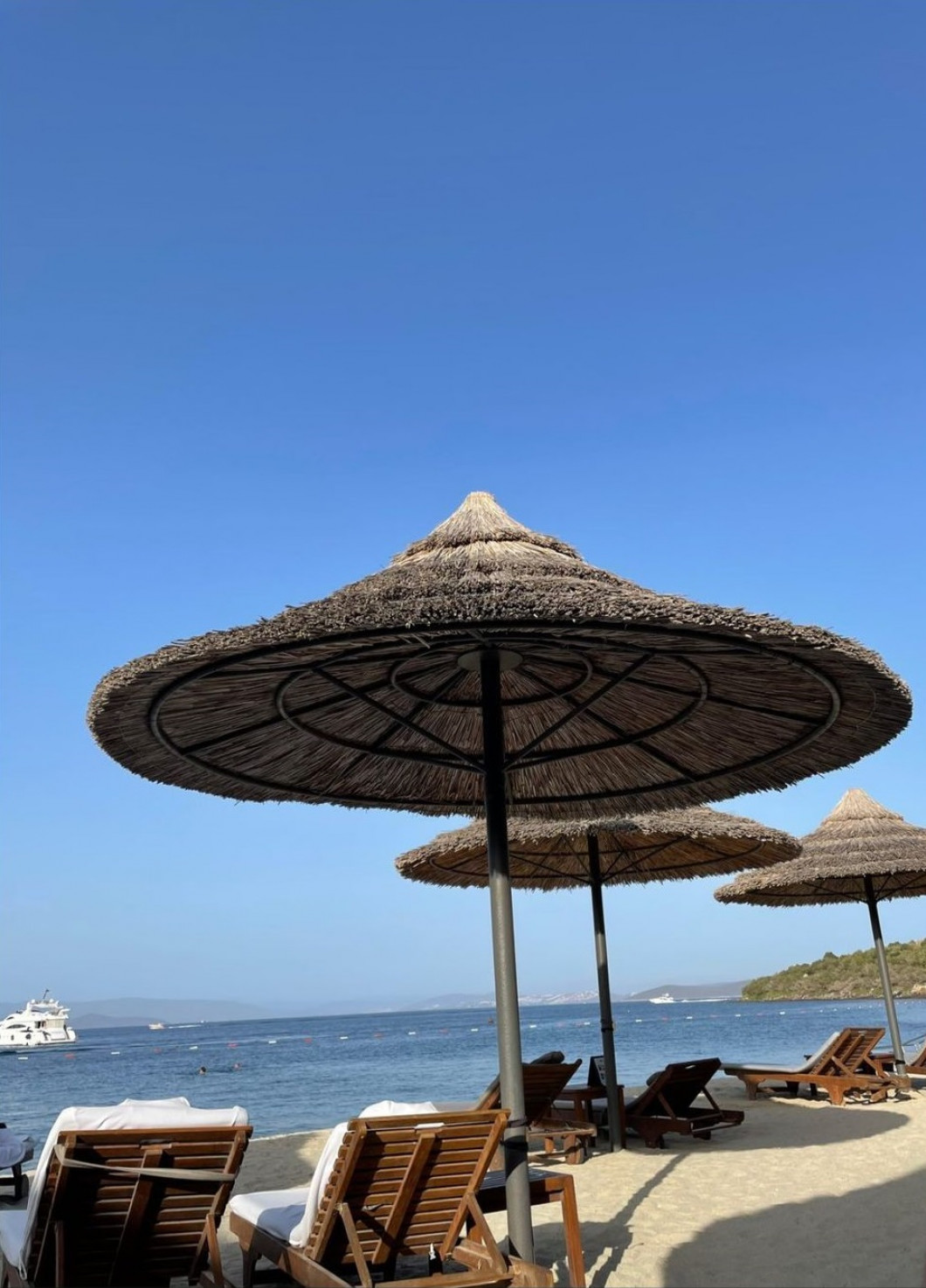 Galerie foto - Poza #2