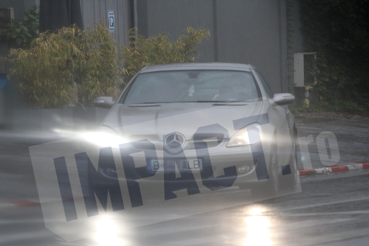 Galerie foto - Poza #3