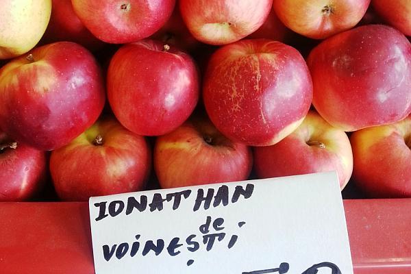 Fericire maxima pentru pomicultorii de pe Valea Dambovitei