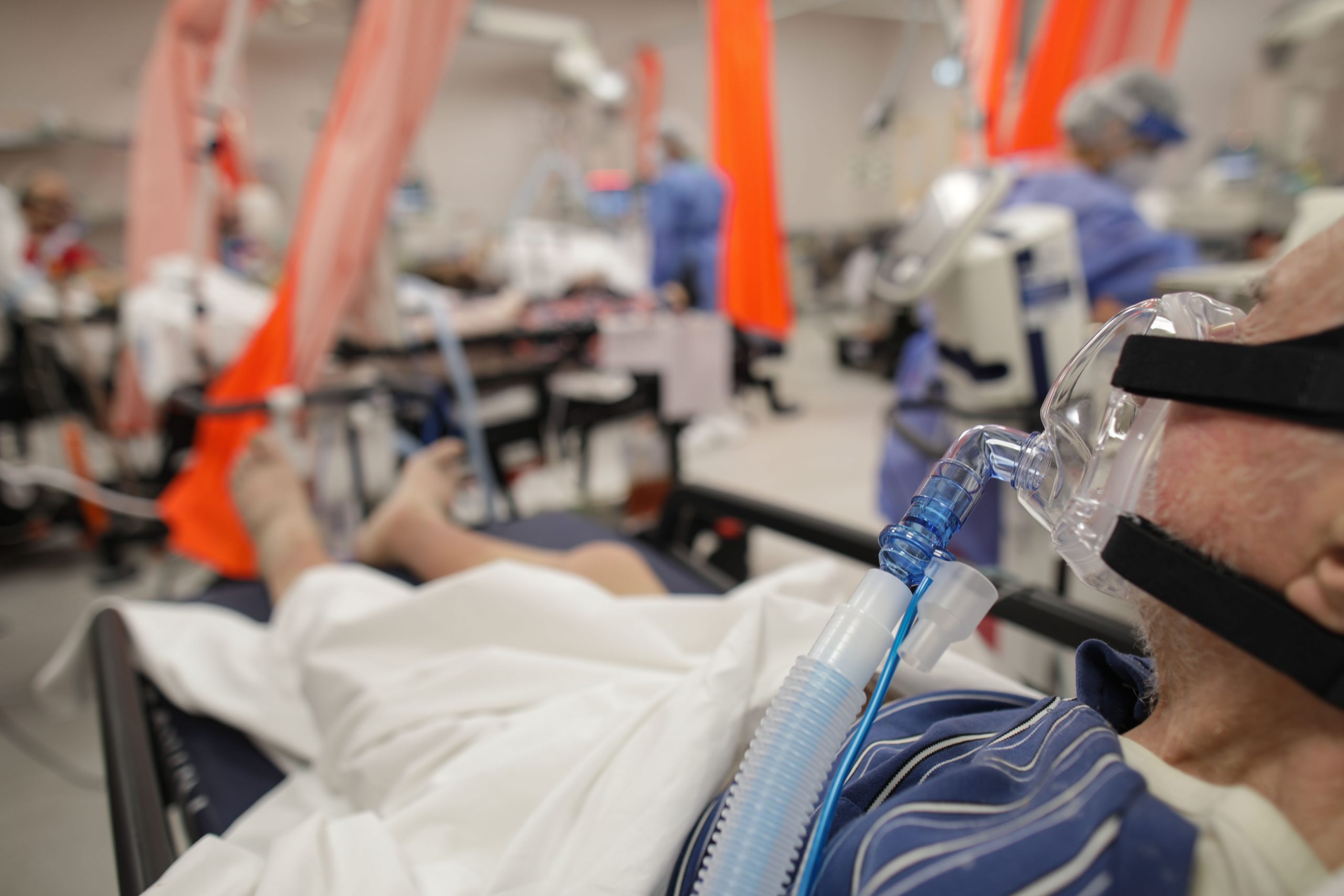 Galerie foto - Poza #3