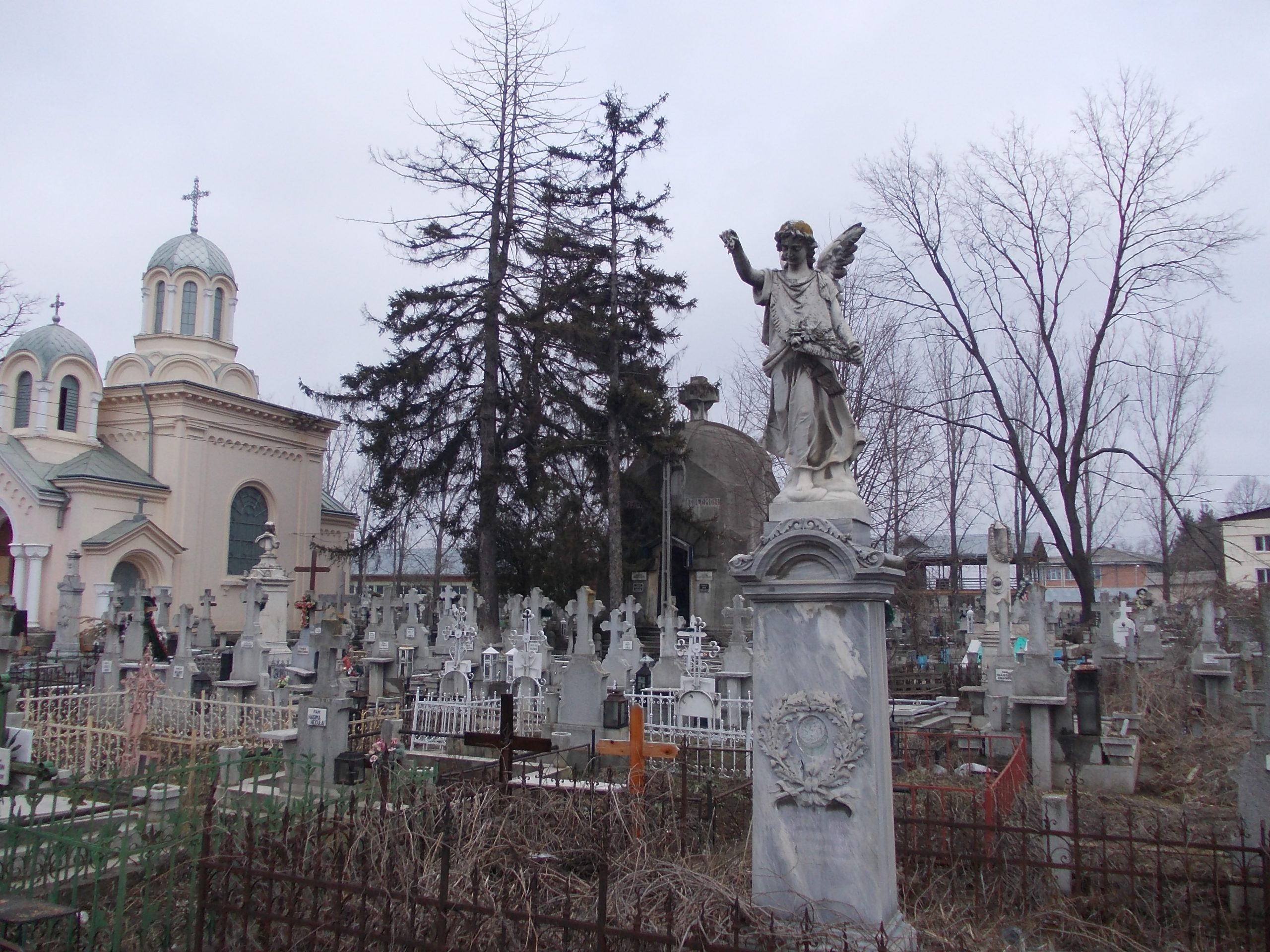 Primaria Botosani recurge la excavator pentru a face fata valului de decese