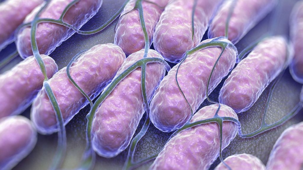 Sute de cazuri de Salmonella de la o legumă folosită din plin de români. Avertismentul specialiştilor: „Aruncaţi-o!”