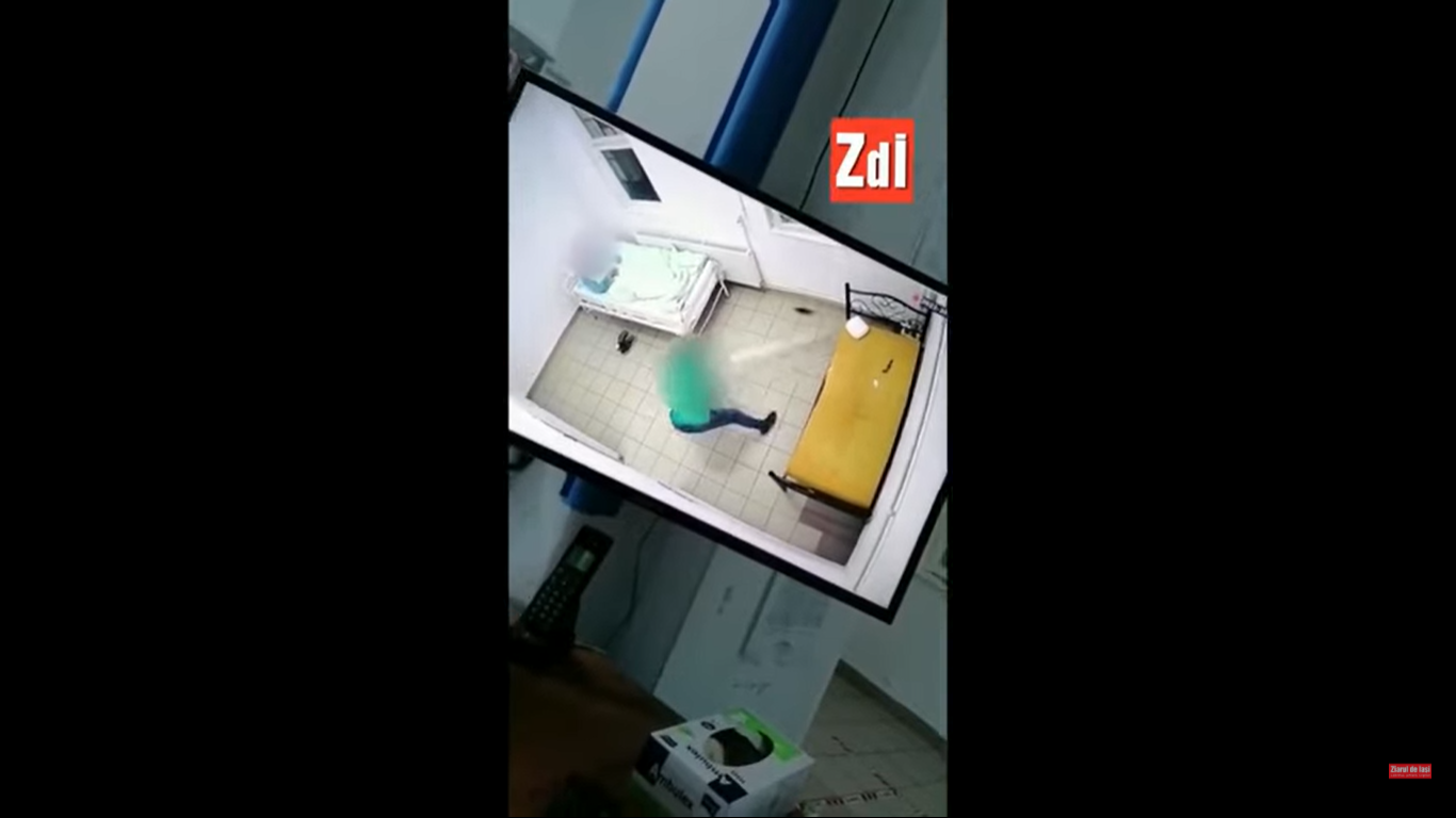 Un sobolan se plimba in voie prin salonul unui pacient