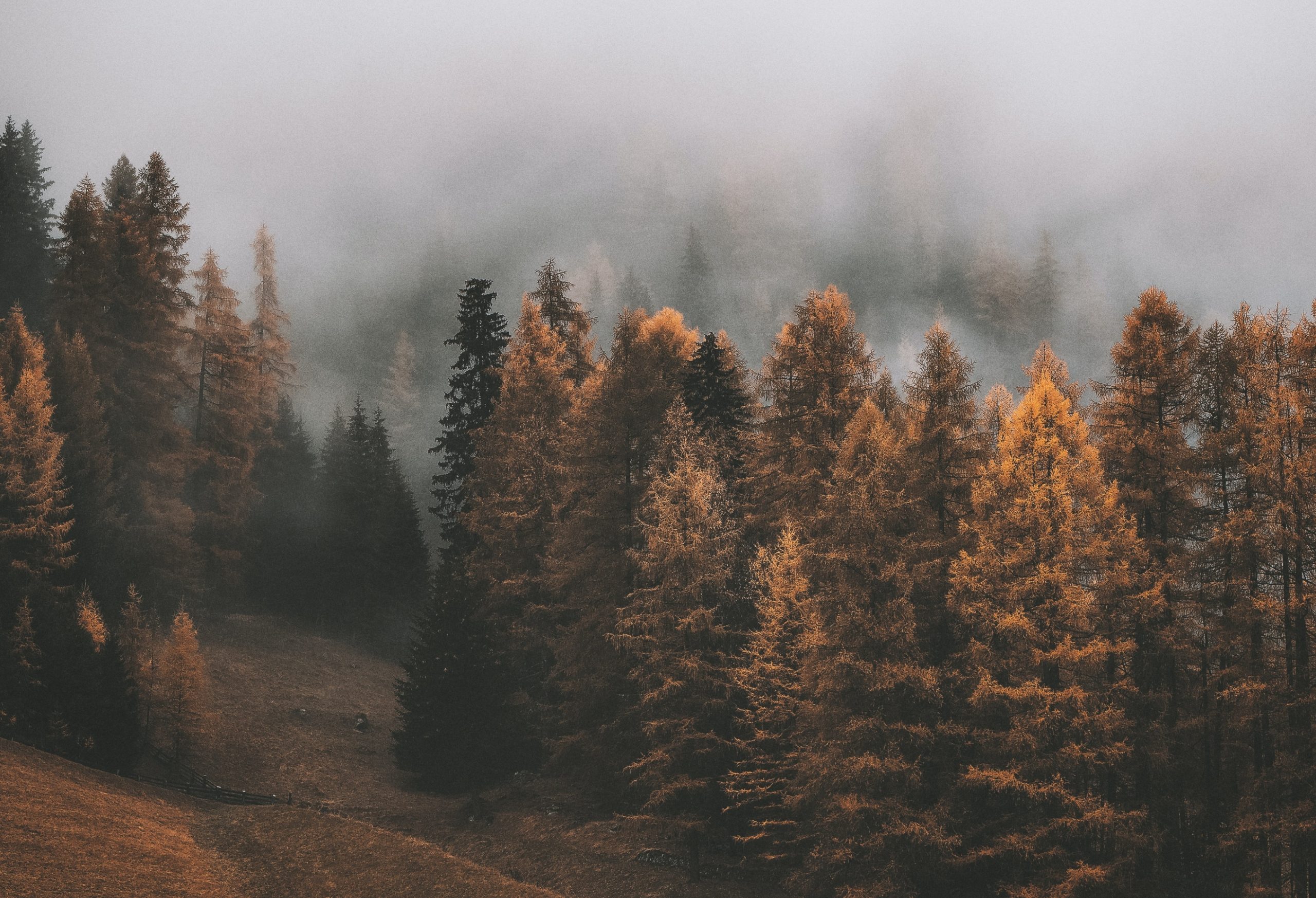 Vremea din 10 octombrie se anunță una cu temperaturi scăzute