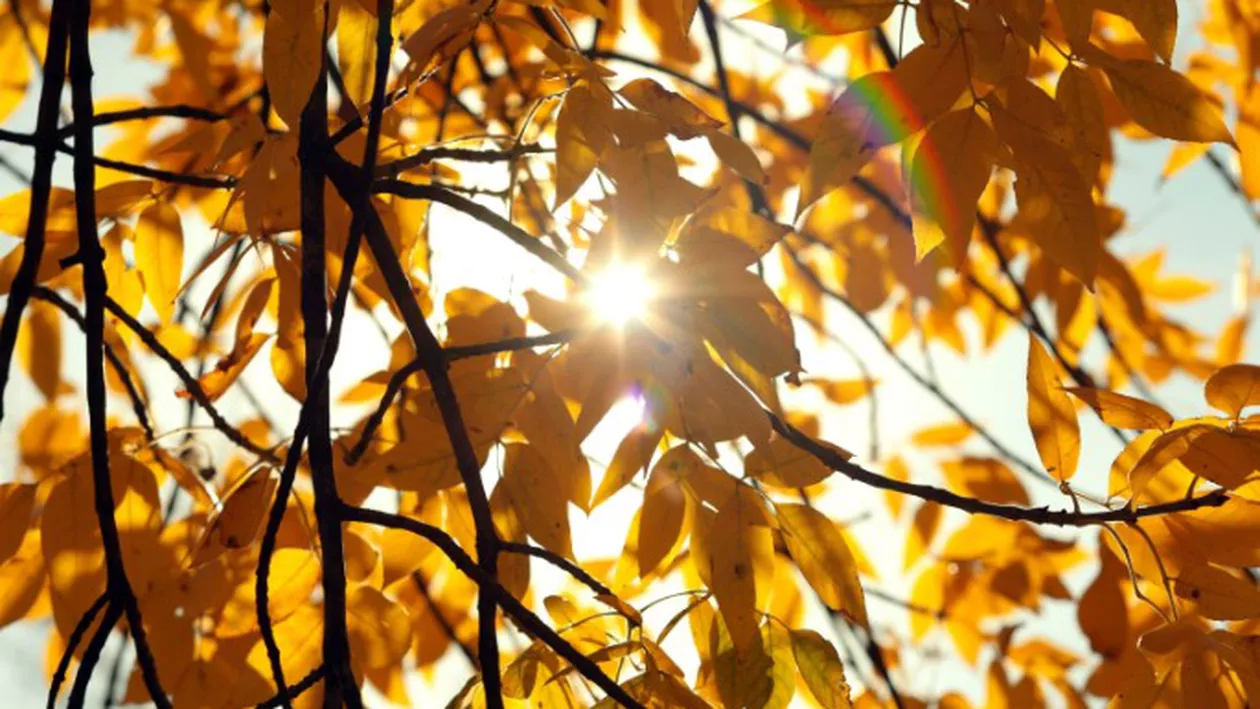 Schimbare bruscă a vremii, în România. Ultimul weekend din octombrie aduce temperaturi ciudate
