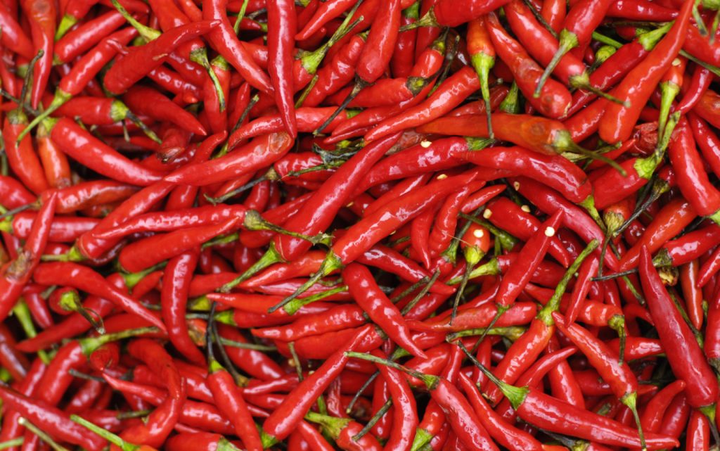 Ardei bulgăresc la borcan. Cum se pune corect, este un deliciu pentru sezonul rece