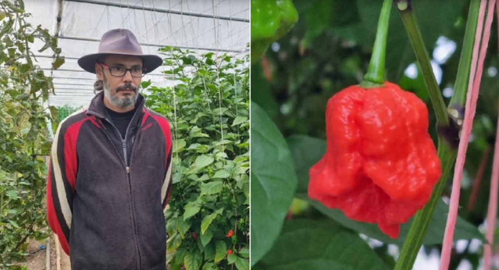 Florin Hada si leguma rara pe care o cultiva in Romania