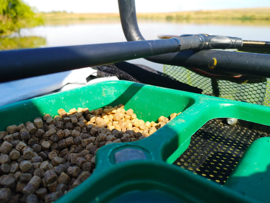 Cele mai noi și cele mai folosite momeli pentru pescuit