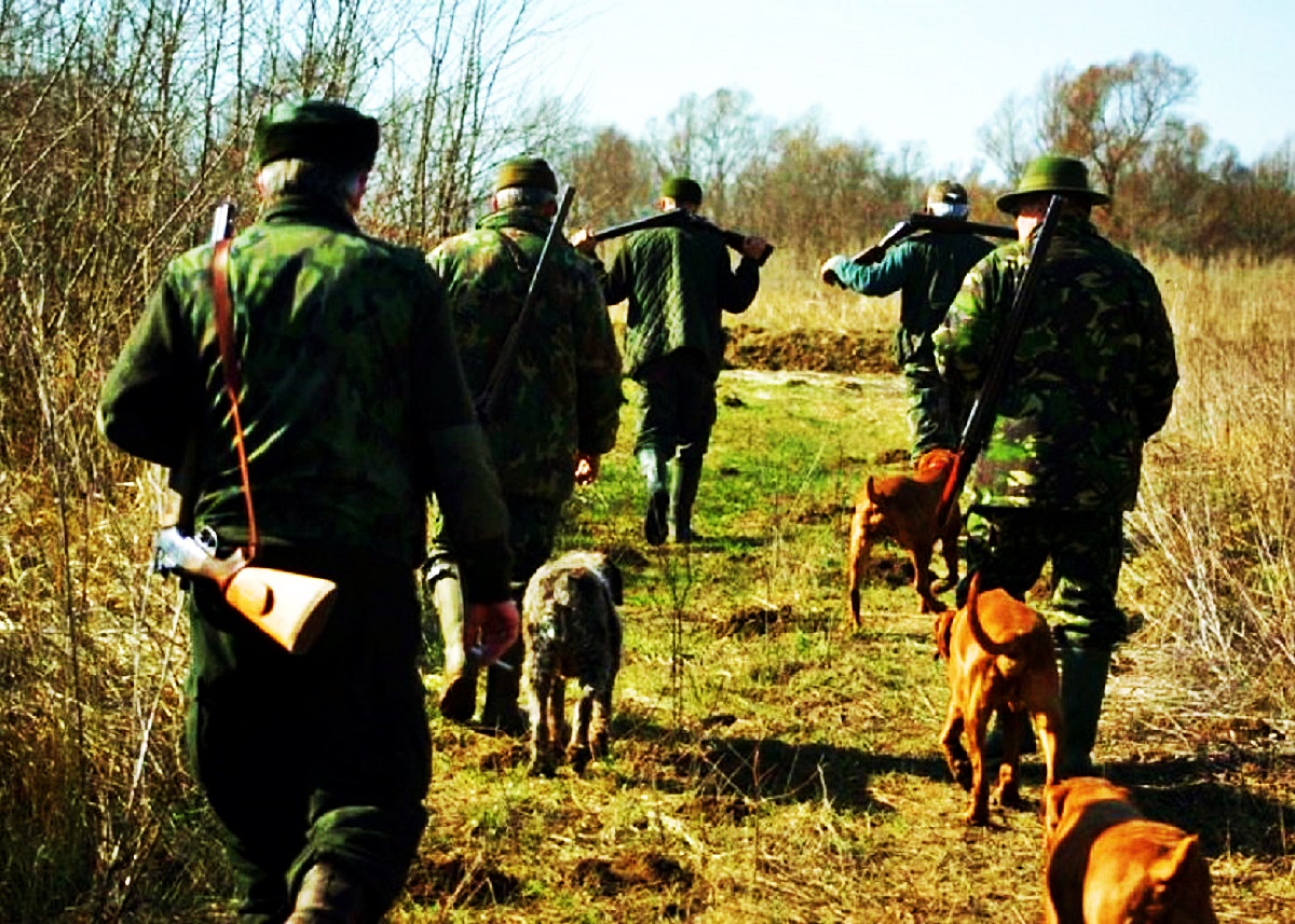 Ce salarii au pădurarii care lucrează pentru ocolul silvic din România