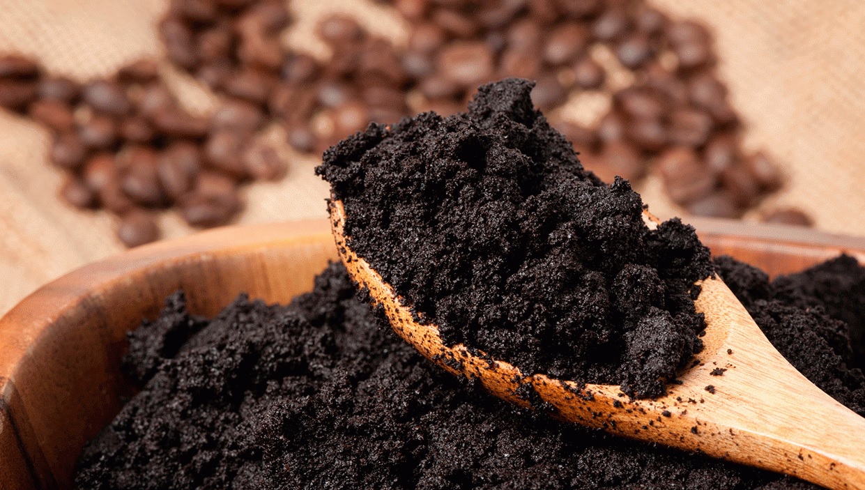 A pus zatul de la cafea in frigider si l-a lssat peste noapte. Ce s-a intamplat pana a doua zi intrece orice asteptare