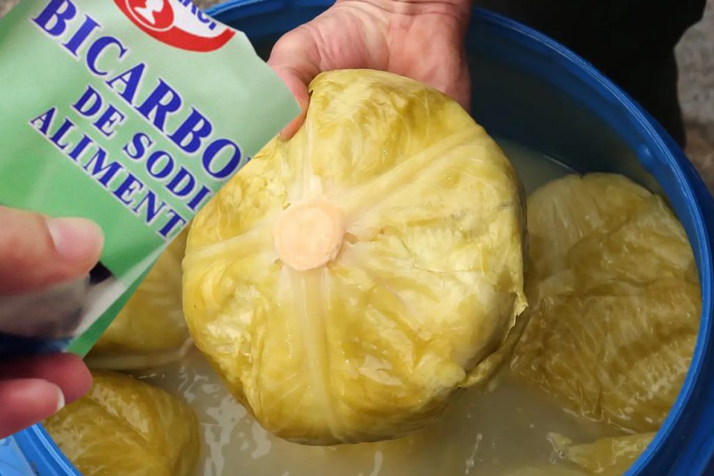 A pus bicarbonat în butoiul cu varză murată. O să îţi pară rău că nu ştiai trucul ăsta