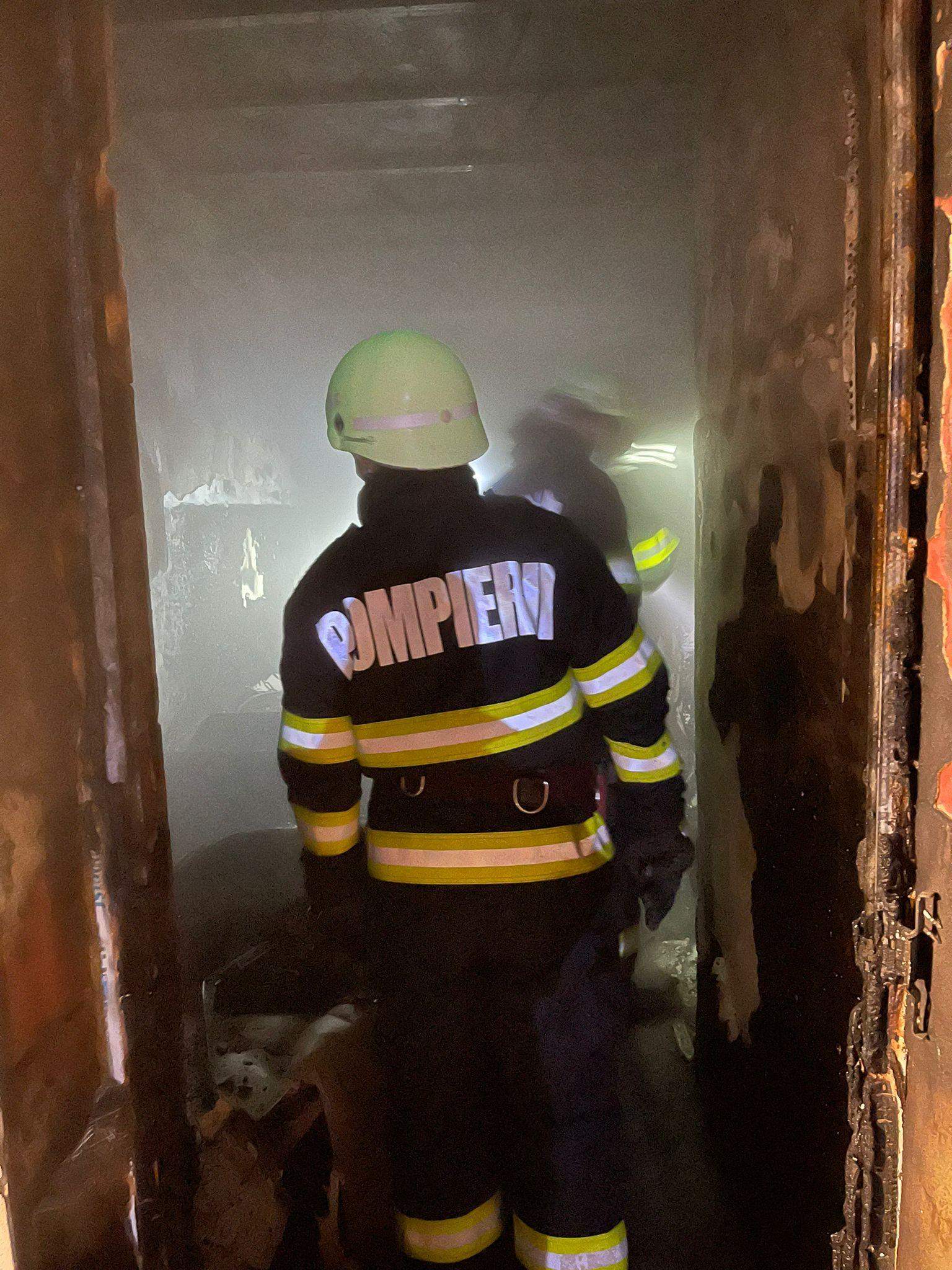 Galerie foto - Poza #3