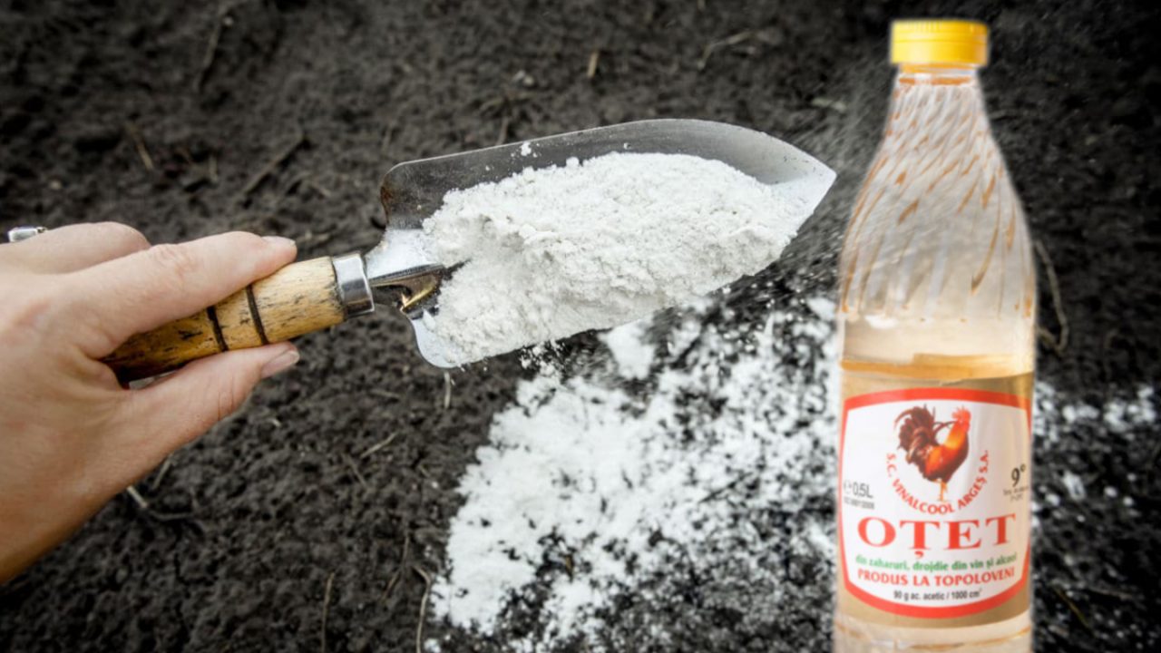 Bicarbonatul de sodiu si otetul ajuta la curatarea fierului de calcat