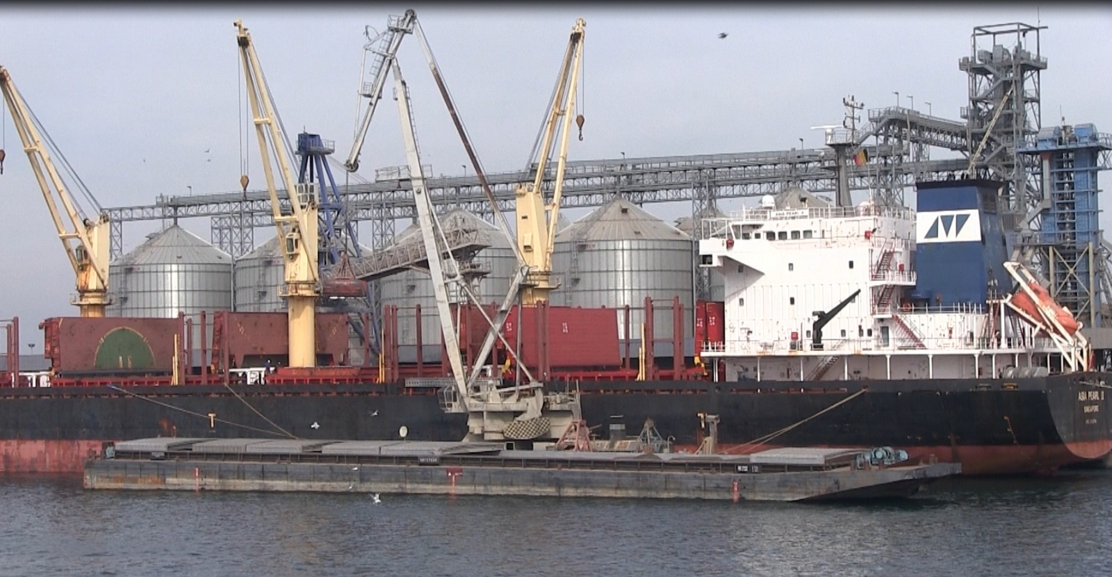 Galerie foto - Poza #1