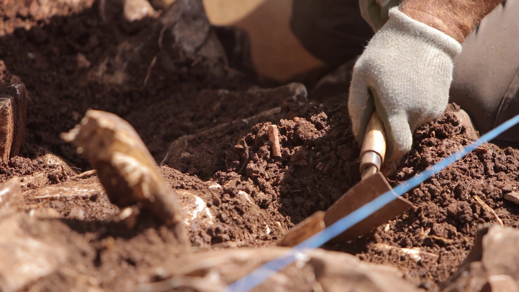 Cum arată o bijuterie de acum 41.000 de ani. A fost descoperită în apropierea României