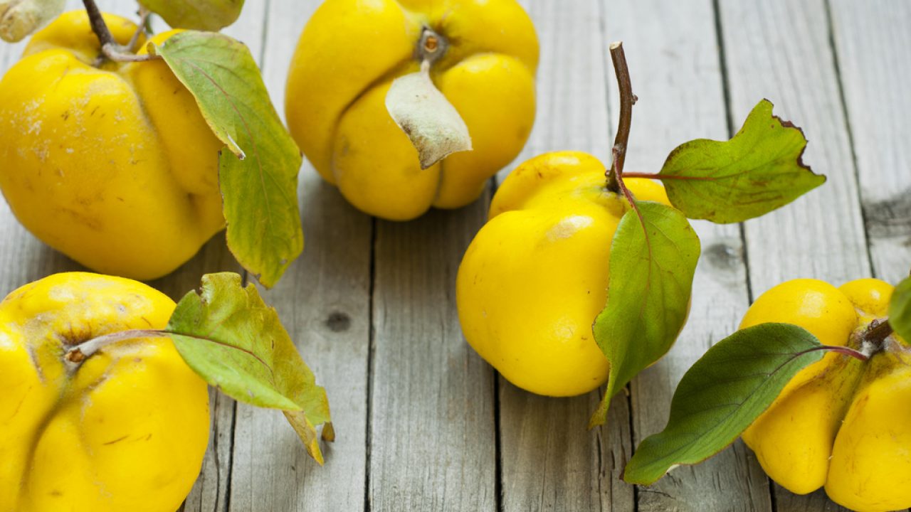 Gutuia da un plus de aroma verzei murate