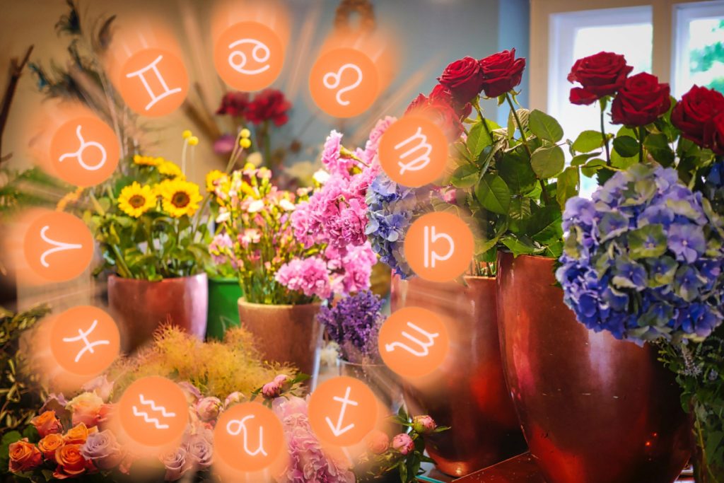 Horoscopul plantelor. Ce floare te reprezintă în funcţie de zodie