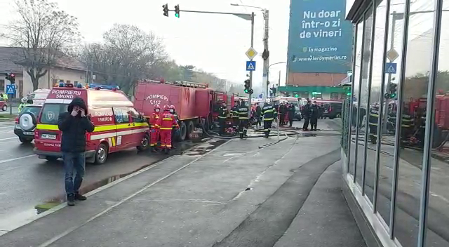 Galerie foto - Poza #3