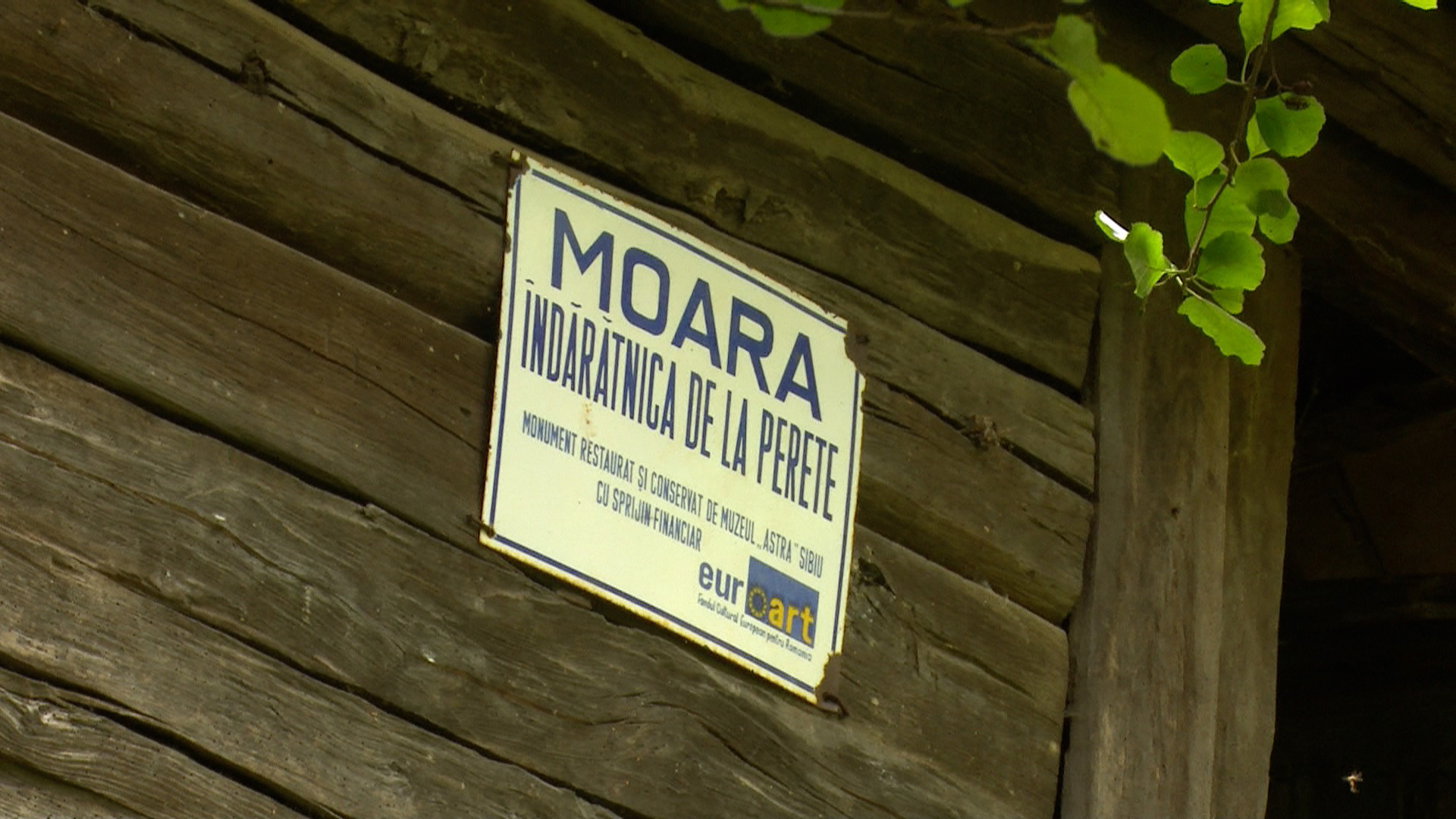 Galerie foto - Poza #1