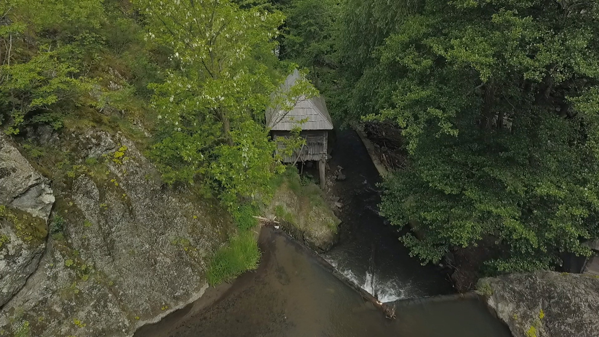 Galerie foto - Poza #3