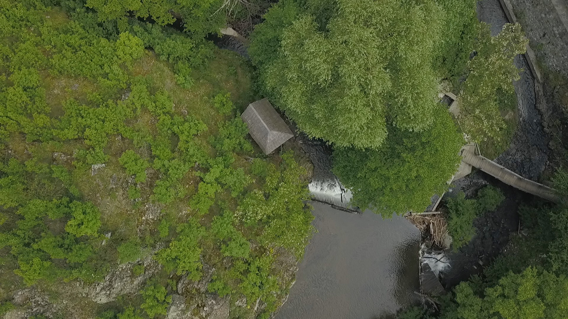 Galerie foto - Poza #2