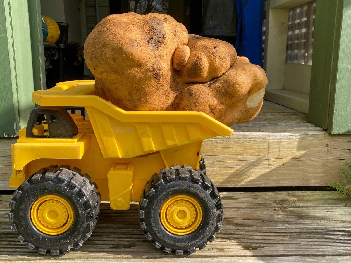 Galerie foto - Poza #3