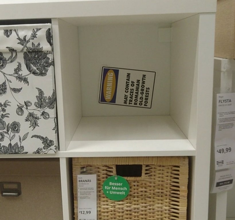 Galerie foto - Poza #1