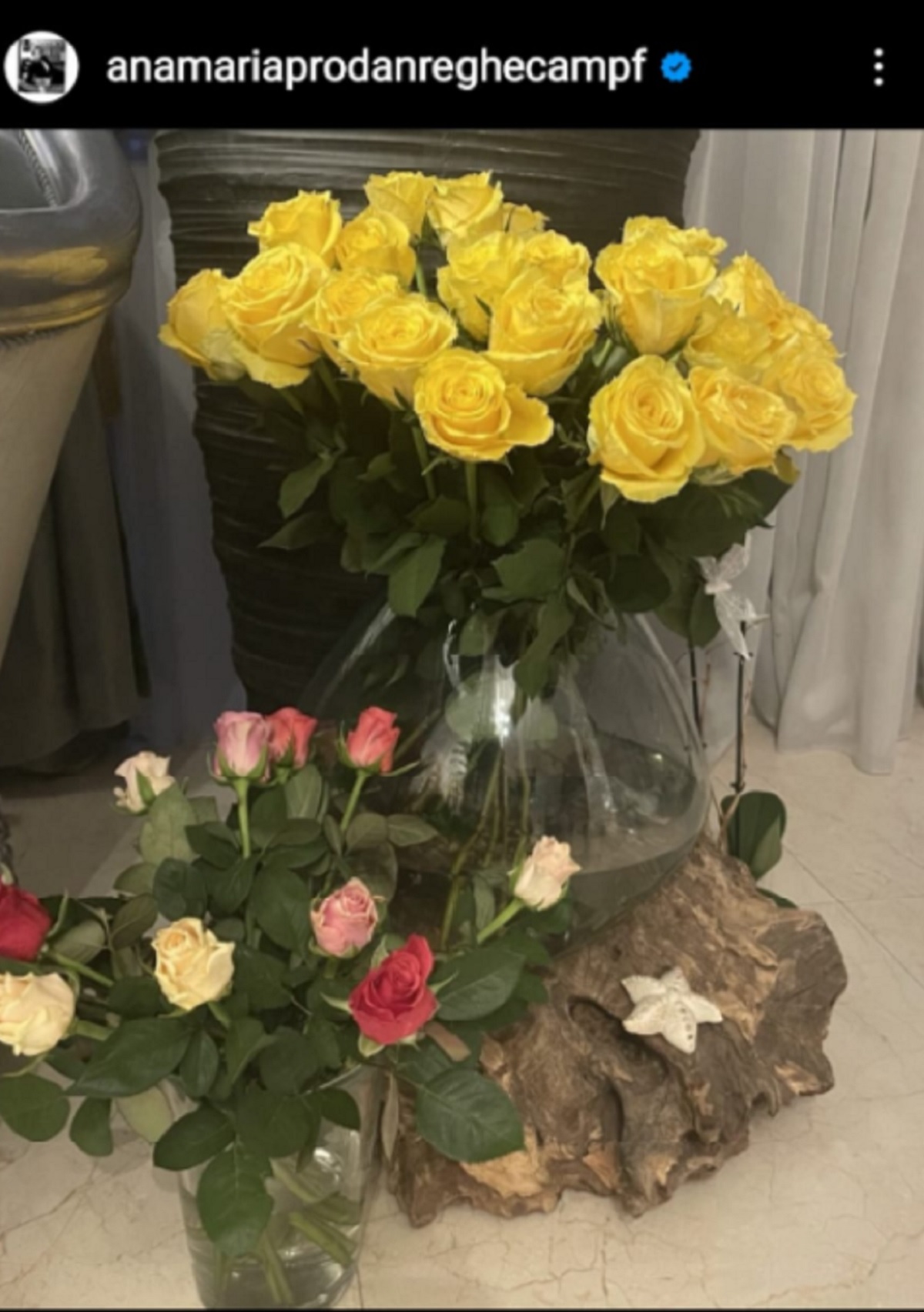 Dovada că Anamaria Prodan se mişcă repede după despărţirea de Reghe. Şi-a făcut deja iubit? Imaginea care o dă de gol