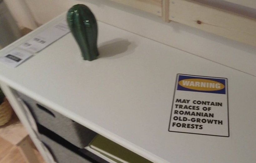 Galerie foto - Poza #2