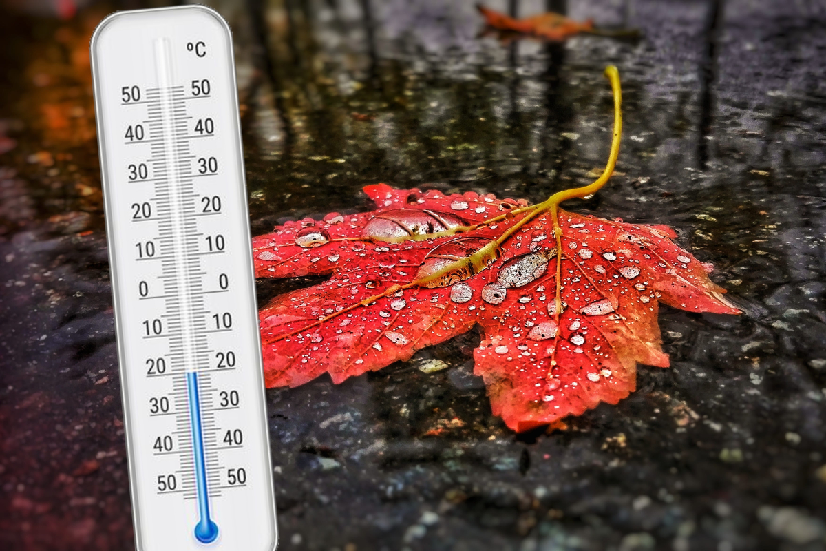 Ce înseamnă, de fapt, codurile meteorologice